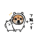 らぶさんまろさんスタンプ（個別スタンプ：10）