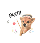 らぶさんまろさんスタンプ（個別スタンプ：13）