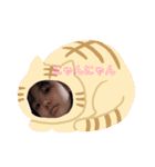 hmひまりちゃん（個別スタンプ：1）