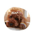 くくるのすたんぷ（個別スタンプ：3）