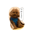 くくるのすたんぷ（個別スタンプ：8）