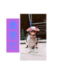 モルモットと犬の日常（個別スタンプ：18）