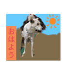 モルモットと犬の日常（個別スタンプ：20）