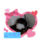 モルモットと犬の日常（個別スタンプ：30）