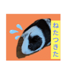 モルモットと犬の日常（個別スタンプ：32）
