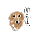 我が家の愛犬ももちゃんのスタンプ（個別スタンプ：2）