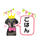 ワンれん（個別スタンプ：3）