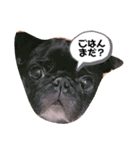 ゆるっと可愛い（個別スタンプ：1）
