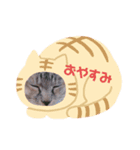 ゆるっと可愛い（個別スタンプ：3）