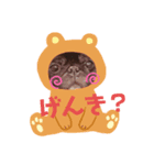 ゆるっと可愛い（個別スタンプ：5）