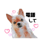 犬姫スタンプ03（個別スタンプ：1）