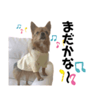 犬姫スタンプ03（個別スタンプ：15）