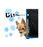 犬姫スタンプ03（個別スタンプ：26）