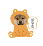 KOTETSU stamp（puppy）（個別スタンプ：15）