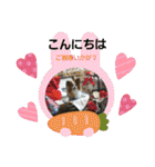 ぱぴぱぴパピヨン2（個別スタンプ：6）