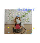 ぱぴぱぴパピヨン2（個別スタンプ：14）