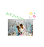 ぱぴぱぴパピヨン2（個別スタンプ：18）
