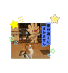 ぱぴぱぴパピヨン2（個別スタンプ：32）