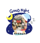 ぱぴぱぴパピヨン2（個別スタンプ：38）