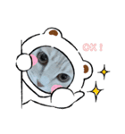 nekomakitvスタンプ（個別スタンプ：2）