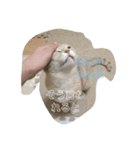 nekomakitvスタンプ（個別スタンプ：7）