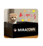 ミラたんスコスタンプa（個別スタンプ：5）
