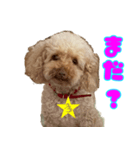 アミ 23（個別スタンプ：3）