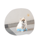 愛猫ラムスタンプ5（個別スタンプ：2）