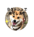 じゅじゅときんた（個別スタンプ：8）