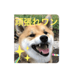 じゅじゅときんた（個別スタンプ：10）