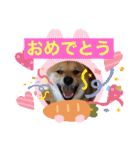 じゅじゅときんた（個別スタンプ：13）