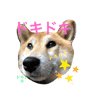 じゅじゅときんた（個別スタンプ：27）