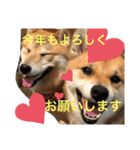 じゅじゅときんた（個別スタンプ：29）