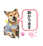 じゅじゅときんた（個別スタンプ：31）
