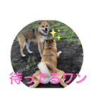 じゅじゅときんた（個別スタンプ：32）