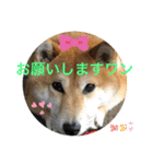 じゅじゅときんた（個別スタンプ：33）