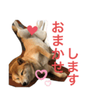 じゅじゅときんた（個別スタンプ：34）