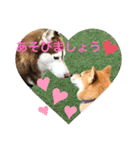 じゅじゅときんた（個別スタンプ：40）