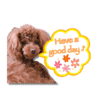 レオくんの1日（個別スタンプ：1）