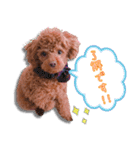 レオくんの1日（個別スタンプ：7）