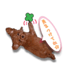 レオくんの1日（個別スタンプ：25）