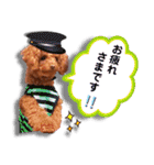 レオくんの1日（個別スタンプ：27）