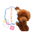 レオくんの1日（個別スタンプ：30）