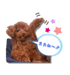 レオくんの1日（個別スタンプ：31）