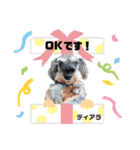 ジェシーfamily（個別スタンプ：5）
