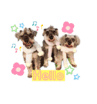 ジェシーfamily（個別スタンプ：9）