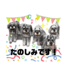 ジェシーfamily（個別スタンプ：11）