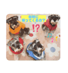 ジェシーfamily（個別スタンプ：15）