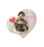 子猫のらて（個別スタンプ：7）