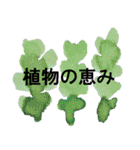 アロマのシンプルアートスタンプ（個別スタンプ：10）